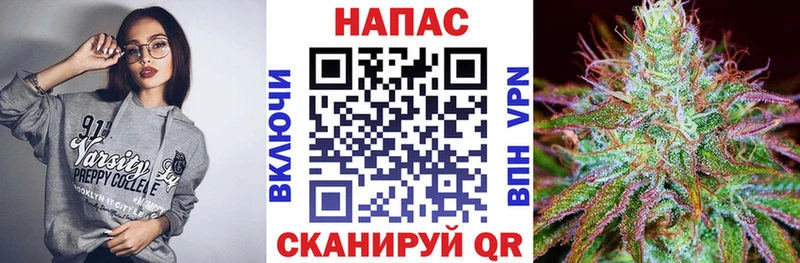 Канабис MAZAR  Барыш 